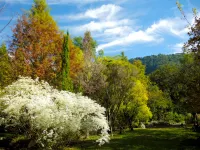 Full Blossoms Garden House 풀리 핫 스프링 주변 호텔