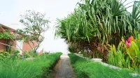 Hoa Tien Paradise Villa - Pools