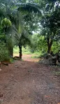 CocoNest Homestay- Coastal Getaway in Kumta - Homestays