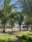Viet Huong Hotel Hotels in Tuy Phong District