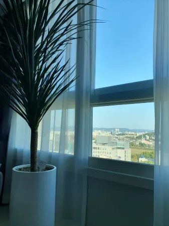 EunhasuD&M Residence Hotel Отели рядом с достопримечательностью «Hanbat Arboretum»