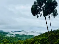 Forest 101 Hotéis em Cidade de Quezon