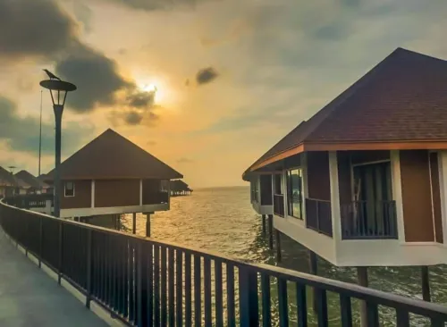 Luxury Homestay