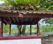 Hotel O Lotus Guest House