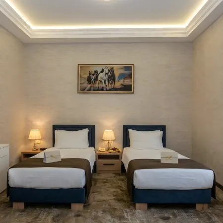 Garnet Mir Airport Hotel
