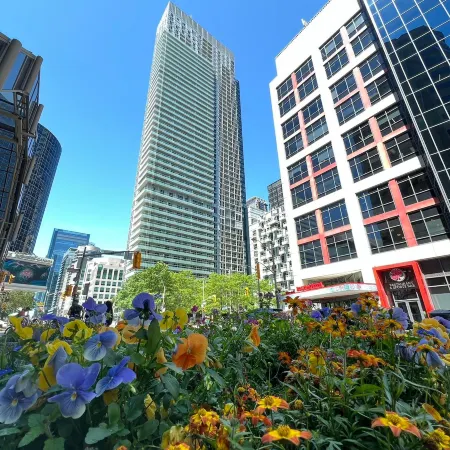 DT2BR2BA CN tower &lake view/ parking king bed