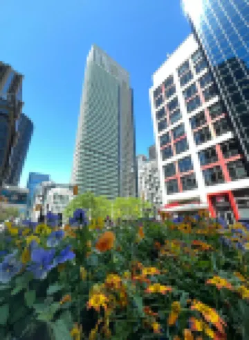 DT2BR2BA CN tower &lake view/ parking king bed