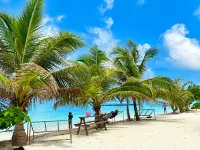 Breezy Home 2BR Sea View With Terrace - 新開幕