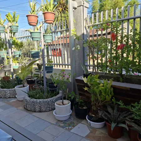 D Estelita Guest House