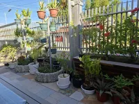D Estelita Guest House