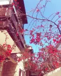 Alayaz Hotel