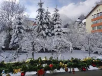 Little Bear Busteni 3