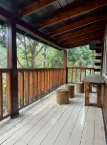 Peach Holiday Manoranor