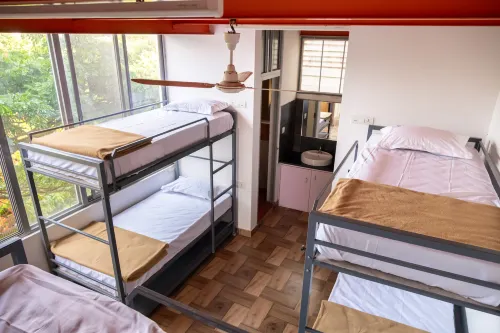 Stopover Backpackers Stay