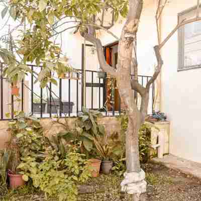 Mediterranean l Villa Hotel Exterior