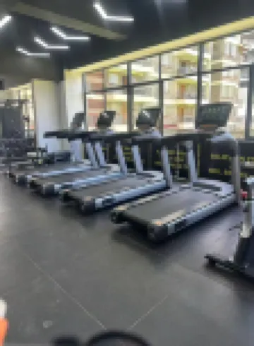 Little Elephant Hotel