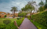 Ajit Bhawan - A Palace Resort - واي فاي