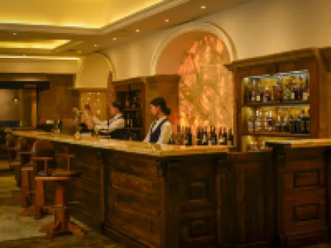 ウランバートル ホテル ウランバートルのホテル