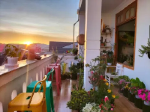 Strawberry Hotel Da Lat Hotels in Dalat