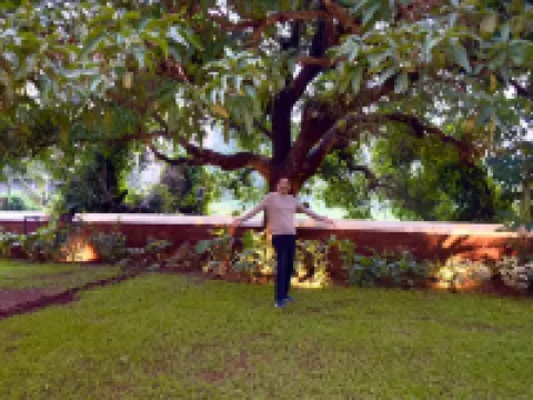 Casa Mahua-Siolim with pvt pool n garden