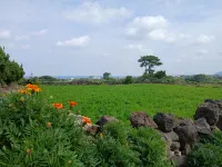 healing stay - สระว่ายน้ำส่วนตัว