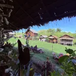 Tradisional house of papua - 2-Star