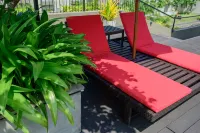 Family Friendly 3-bedroom apartment in Colombo, Malable Hotels in Malabe