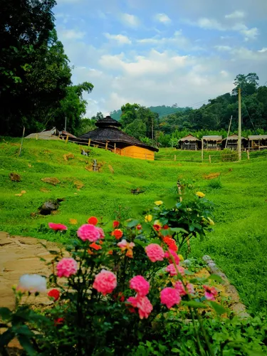 รูปภาพของบ้านไม้ 2