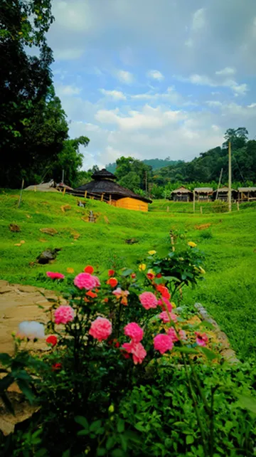 รูปภาพของบ้านไม้ 1