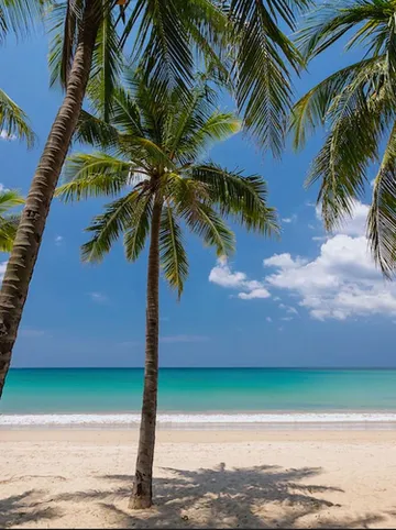 รูปภาพของโกลเดน่า ทวิน ไพรเวท วิลล่า กมลา