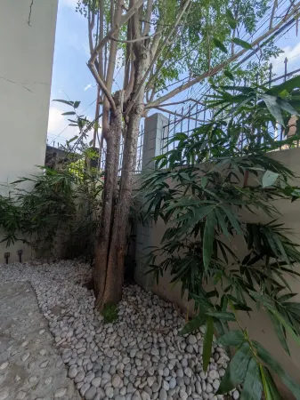 Spacious 3-Floor, 6-Bedroom House w/ WIFI, KTV, Swimming Pool, 30+PAX Отели в г. Давао