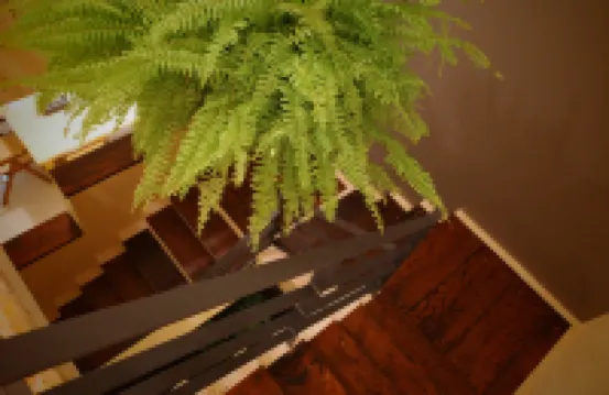 地平線潛水民宿