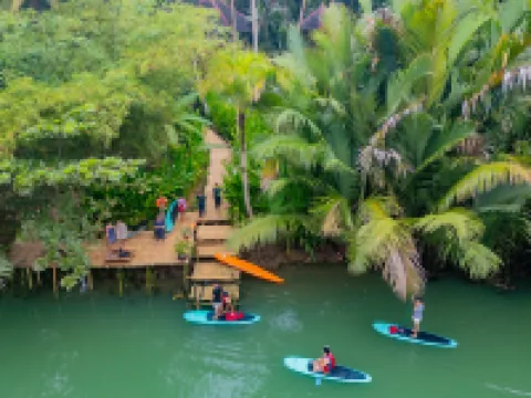 ウォーター トゥ フォレスト エコロッジ ロボックのホテル