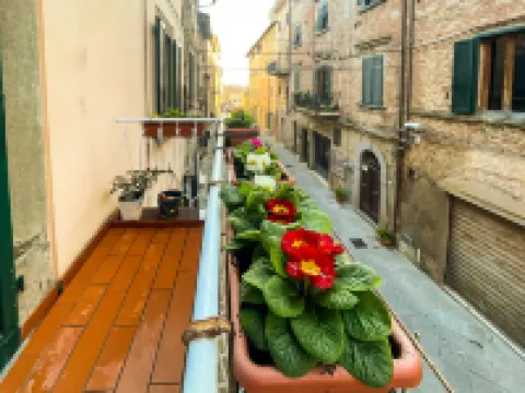 Da Vinci: entire space in the heart of Tuscany فنادق في 