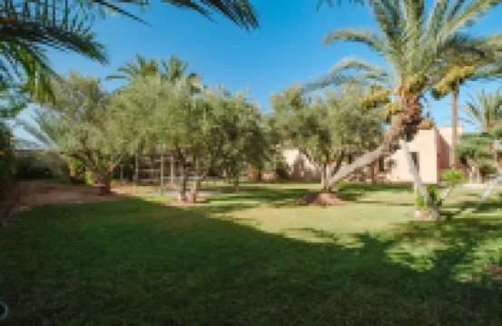 Hotel Dar 55 - Berbère House & Spa