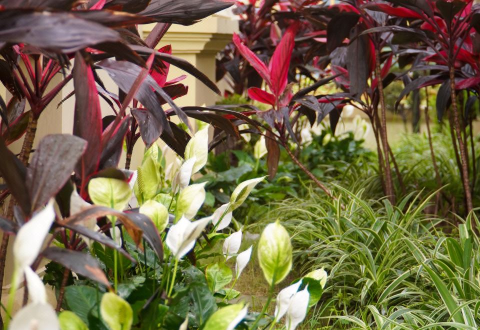 그린 드래곤 부티크 호텔