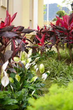 Green Dragon Boutique Hotel