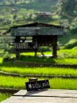 Hae o bi (rice terraces) Hotels in Samoeng District