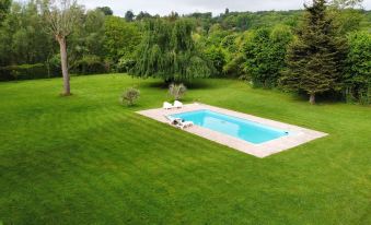 paradisiacal chalet on the banks of the Marne