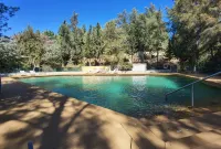 Apart-Hotel Quinta das Eirinhas-Jardim de Bonsai - Ocean View