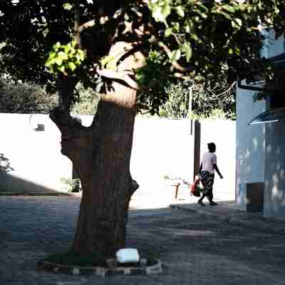 Jacaranda Homestay Hotel Exterior