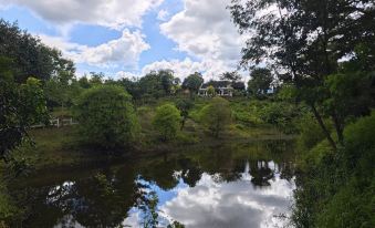 The Moon Rabbit Resort