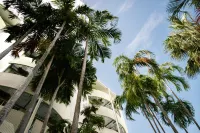 The Leea, Darwin