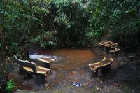 The Wild Trails Clarks Exotica , Munnar