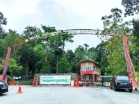 Adelea Homestay MERU - สวนน้ำ