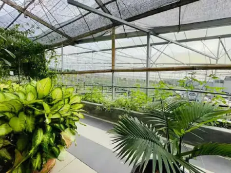 Cameron Farm House Отели рядом с достопримечательностью «Ee Feng Gu Bee Farm»