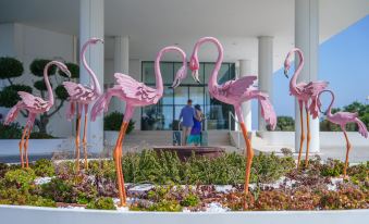 Flamingo Paradise Beach Hotel