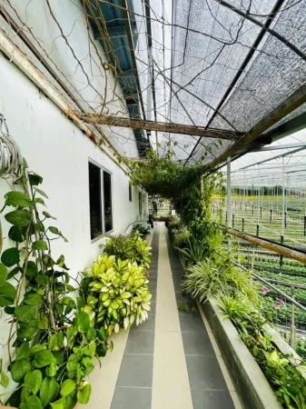 Cameron Farm House Отели рядом с достопримечательностью «Ee Feng Gu Bee Farm»