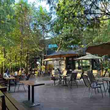 Carefree Park Others