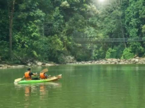 Rompin Rainforest Lodge Hotels in Rompin